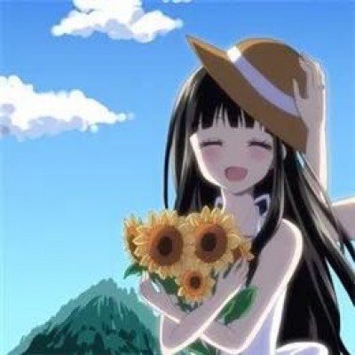 外交部就伊朗局势答问